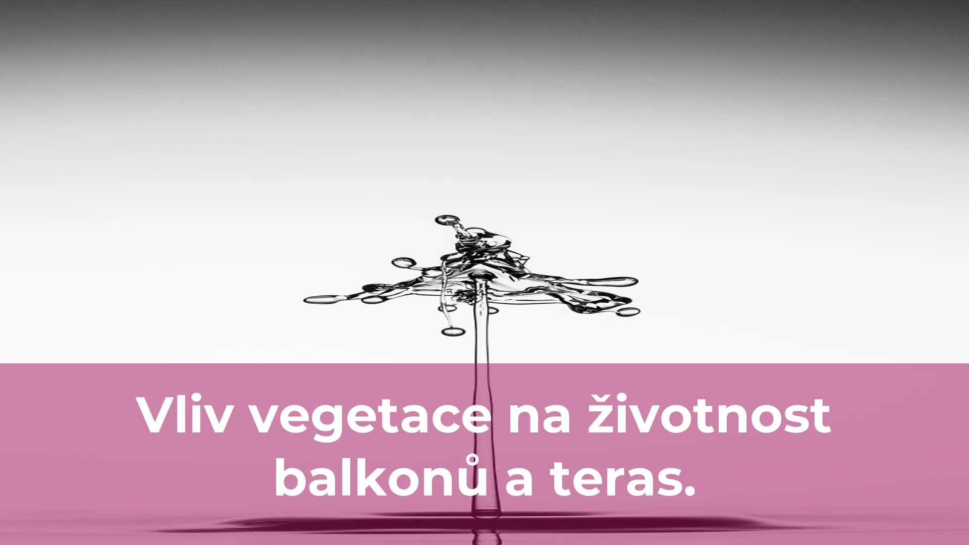 Vliv vegetace na životnost balkonů a teras