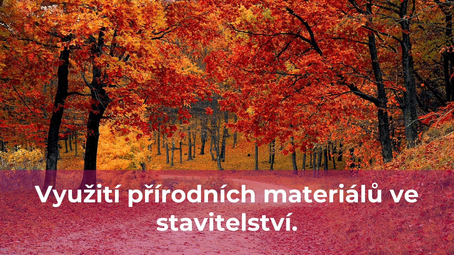 Využití přírodních materiálů ve stavitelství